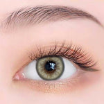 Exoticon Softlens - Exoticon Color - Exo Color Bebi Light Brown | Bebi Light Grey | Soflens 14.5 mm