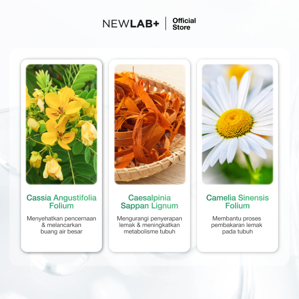NEWLAB Fitlogy Tea Drink | Herbal Tea | Minuman Teh Hijau Herbal 28 Tea Bags