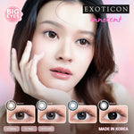 Exoticon Softlens Innocent Series Grey | Brown | Blue | Black | Diameter 16mm | Soflens Minus