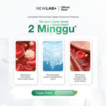 NEWLAB Fitlogy Tea Drink | Herbal Tea | Minuman Teh Hijau Herbal 28 Tea Bags