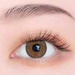 Exoticon Softlens - Exoticon Color - Exo Color Luv Grey | Luv Choco | Softlens Korea