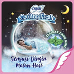 Charm Cooling Fresh Pembalut Wanita Wing Malam Ekstrak Daun Mint 29 cm 10 pcs