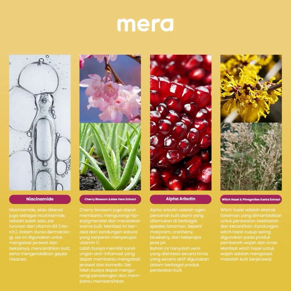 [MERA REPUBLIC] Serum Essence Wajah - Youthrenew Retinol Elixir Serum / Niacinamide Gold Glow / Acne Solution Serum