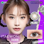 Exoticon Softlens Itaewon Series Scarlet | Paloma | Nebulas | Royal | Mosaic | Soflens Korea