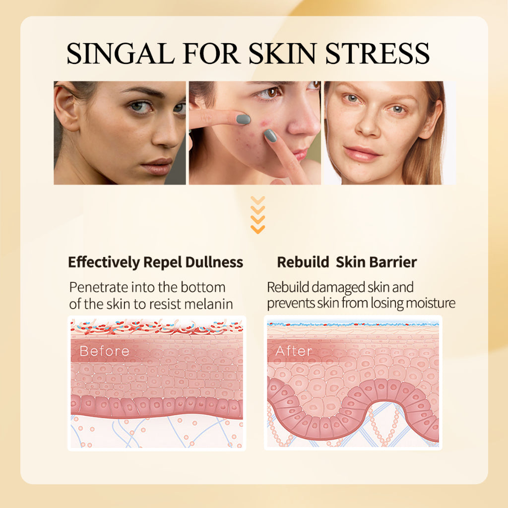 [Ready Stock]  PREMIERE BEAUTE VISIBLE COLLAGEN ESSENCE Repair Toner 100ML *3Pcs  DERMA CARE ANTI-AGING Whitening Moisturize Repair Water Rebuild Barrier  DERMA CARE [BPOM]