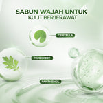 ACNAWAY 2PCS Mugwort Gel Facial Wash – Acne Friendly Gentle Cleanser Sabun Cuci Muka Untuk Kulit Berjerawat Sensitif Wajah Bersih Tidak Kering Face Wash Sabun Muka Oil Control Fungal Acne Safe Skincare Daily Cleanser All Skin Type Pembersih Wajah