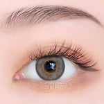 Exoticon Softlens - Exoticon Color - Exo Color Luv Grey | Luv Choco | Softlens Korea