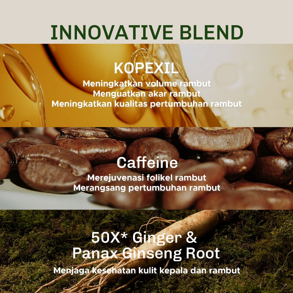 Lavojoy Hold Me Tight Pro Scalp Essence Spring Wonder | Hair Shampoo | Shampo Rambut | Mengatasi Rambut Rontok Kebotakan | Perawatan Rambut Rontok | Memperkuat Akar Rambut | Perawatan Rambut Rontok Essence | Hair Tonic | Essence Ginseng & Jahe