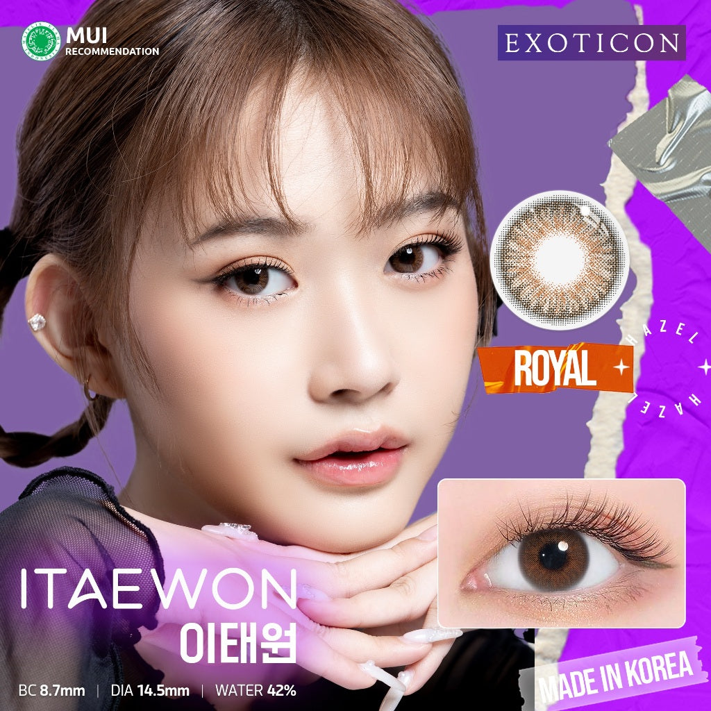 Exoticon Softlens Brown Series (Plano Only) Soflens Normal
