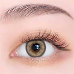 Exoticon Softlens - Exoticon Color - Exo Color Bebi Light Brown | Bebi Light Grey | Soflens 14.5 mm
