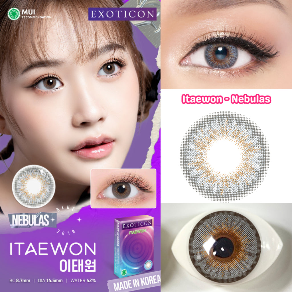 Exoticon Softlens Itaewon Series Scarlet | Paloma | Nebulas | Royal | Mosaic | Soflens Korea
