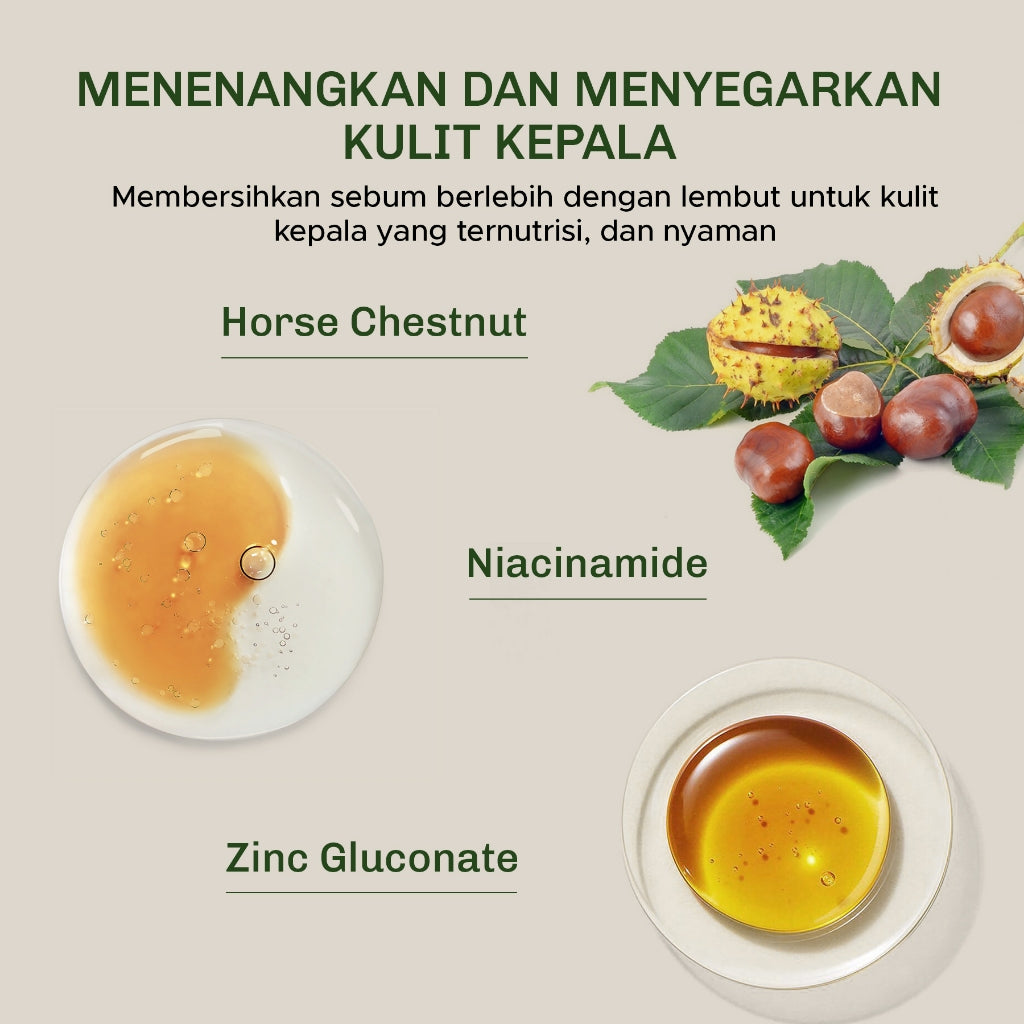 Lavojoy Hold Me Tight Pro Scalp Essence Spring Wonder | Hair Shampoo | Shampo Rambut | Mengatasi Rambut Rontok Kebotakan | Perawatan Rambut Rontok | Memperkuat Akar Rambut | Perawatan Rambut Rontok Essence | Hair Tonic | Essence Ginseng & Jahe