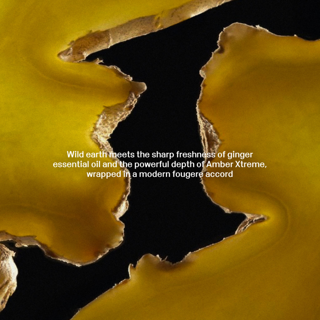 NEW! Kahf Neofougere Extrait de Parfum 50 ml - Oracle Series - Long-lasting Signature Fragrance (EDP) with Luxury Elegant Masculine Scent (Spices Fougere Aroma) Wangi Tahan Lama