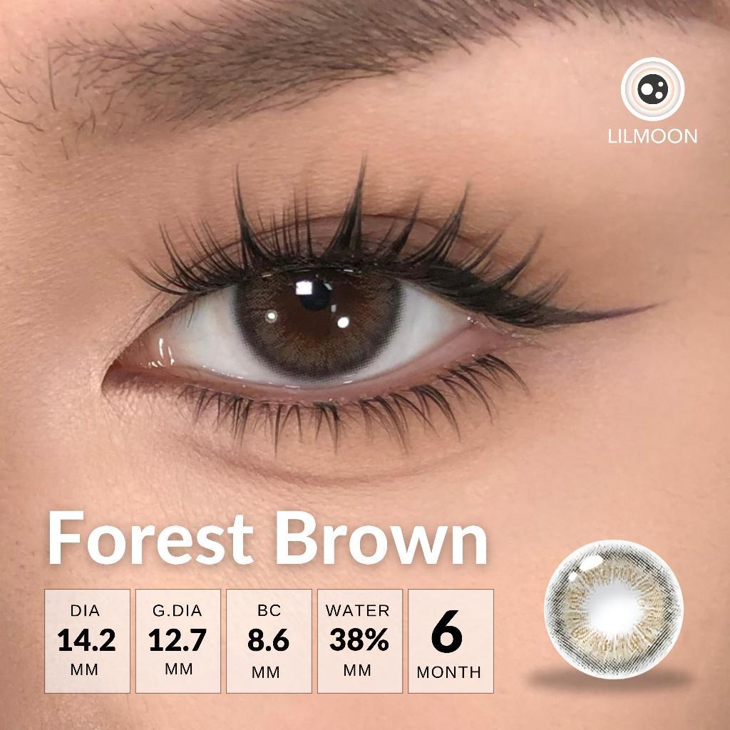 [Fuji Favorite] Lilmoon Softlens Little Forest Brown – Softlens Minus 0 s/d -8.50, Warna Natural Jepang