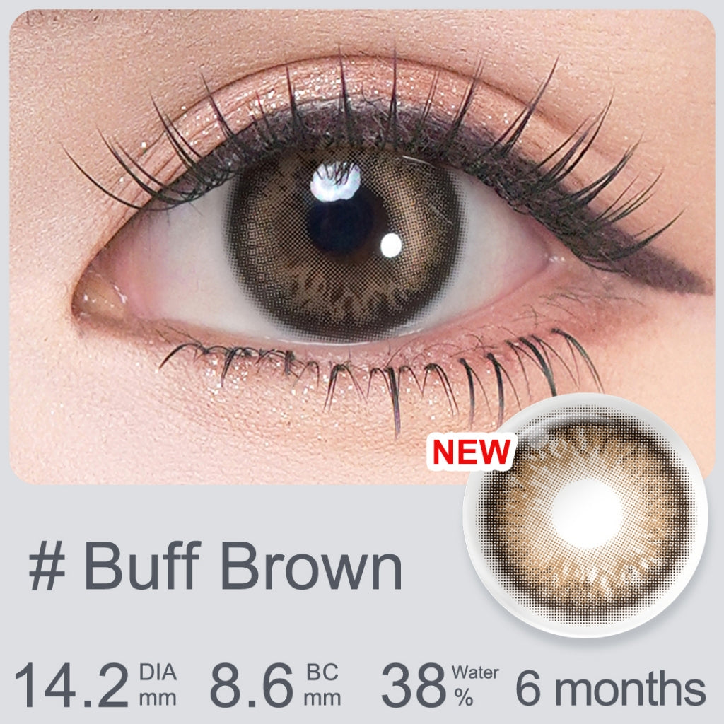 [New Style]Magister Softlens Minus Blush Girl Series Buff Brown 14.2mm~14.5mm Contact Lens 6Months