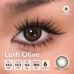 [Fuji Favorite] [New Arrival] Lilmoon Softlens Kualitas Jepang softlens minus (0 sd -8.50) Lush Olive Lensa minus/natural contact softlens/softlens warna/Lensa kontak