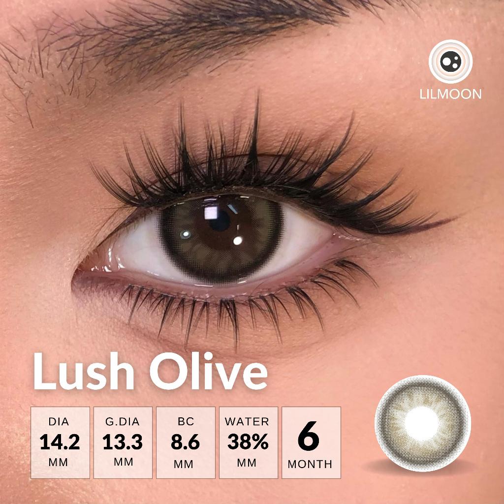 [Fuji Favorite] Lilmoon Softlens Lush Olive – Softlens Minus 0 s/d -8.50, Warna Natural Kualitas Jepang