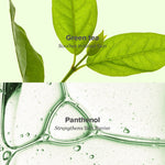 Beauty of Joseon Greentea Calming Serum : Panthenol + Zinc PCA + Greentea