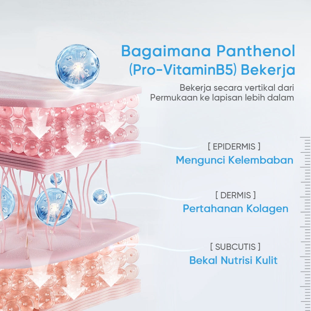 FACERINNA Ceramide B5 Balancing Toner 100 ml | Ceramide Soothing Calming Toner Hyaluronic acid Barrier Essence Toner Memperbaiki penghalang kulit Jaga kulit After-sun Hydrating Sensitive Barrier Care Skincare | Eksfoliasi Wajah Glycocid Acid Glycolic Acid