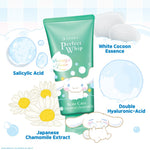 SENKA Perfect Whip Acne Care Cinnamoroll Edition 120gr