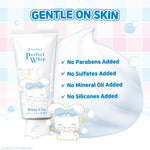 [TRIPLEPACK] SENKA Perfect Whip Clay Cinnamoroll Edition 120gr