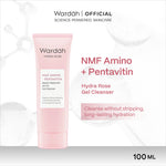 WARDAH Face Wash All Series Acnederm C Defense Lightening Perfect Bright Nature Daily Crystal Secret Renew You Hydra Rose NMF Amino Gel Cleanser Skincare