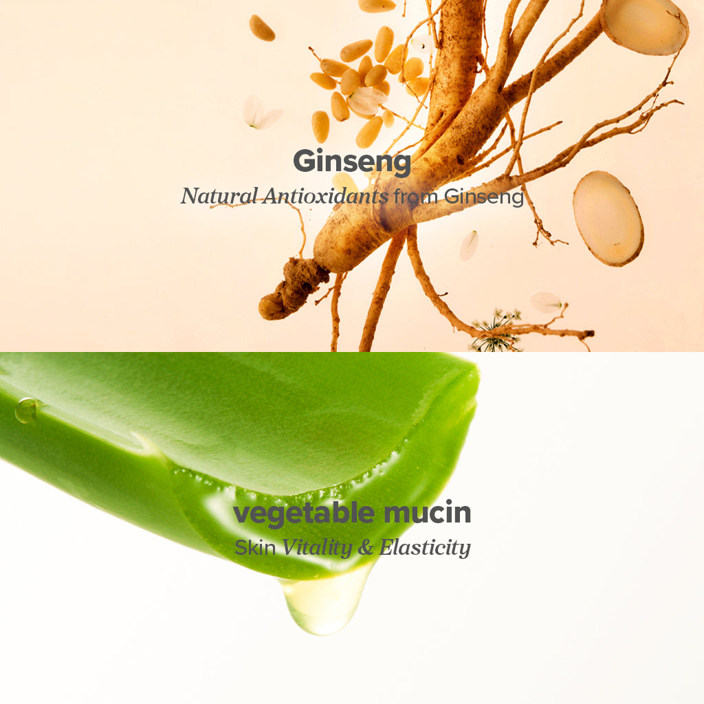 Beauty of Joseon Ginseng Skin Barrier Serum : Ginseng + Mucin