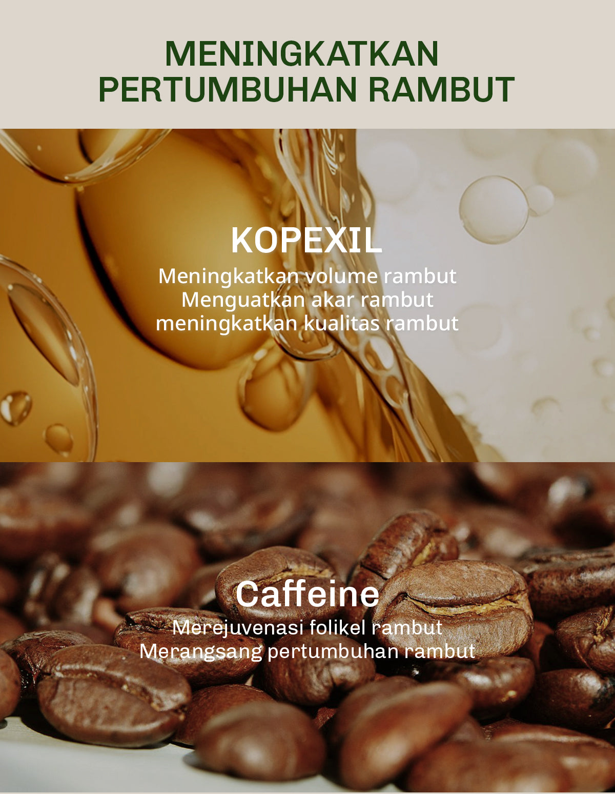 [BUNDLE] Lavojoy Hold Me Tight Pro Shampoo + Conditioner Spring Wonder | Hair Treatment | Perawatan Intensif untuk Rambut Rontok | Perawatan Rambut | Ceramide | Salicylic Acid | Hair Care | Citric Acid