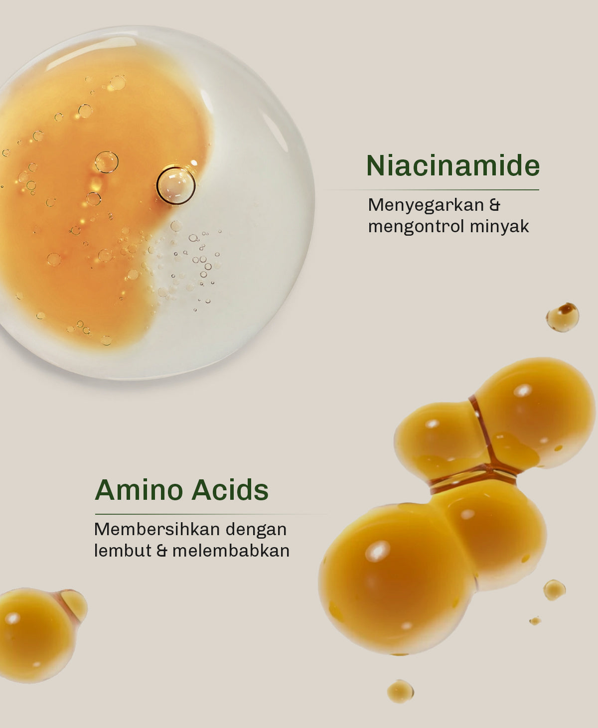 [BUNDLE] Lavojoy Hold Me Tight Pro Shampoo + Conditioner Spring Wonder | Hair Treatment | Perawatan Intensif untuk Rambut Rontok | Perawatan Rambut | Ceramide | Salicylic Acid | Hair Care | Citric Acid