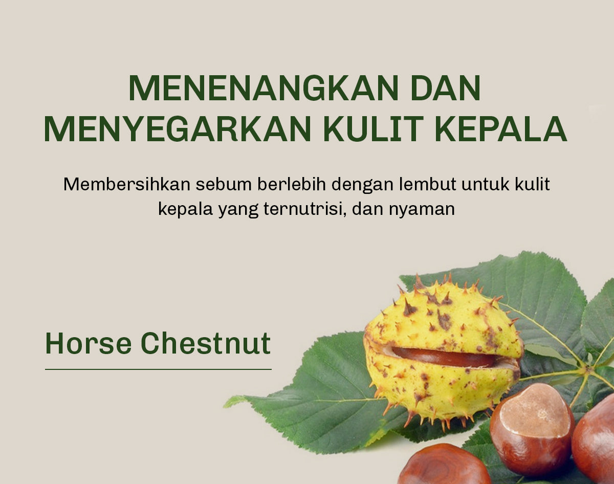 [3IN1 BUNDLE] Lavojoy Hold Me Tight Pro Shampoo + Conditioner + Scalp Essence Spring Wonder | Perawatan Intensif untuk Rambut Rontok | Perawatan Rambut Rontok | Ginseng Ginger Caffeine | Hair Care Growth | Citric Acid