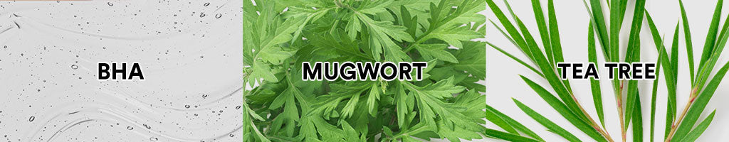 Whitelab Acne Toner - Toner Untuk Kulit Jerawat Menenangkan dan Mengontrol Minyak Berlebih dengan Bha, Mugwort & Tea Tree [BPOM]