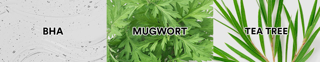 Whitelab Acne Care Moisturizer Gel - Pelembap Kulit Wajah untuk Mengurangi dan Meredakan Jerawat Pagi Malam dengan BHA, Mugwort & Tea Tree [BPOM]