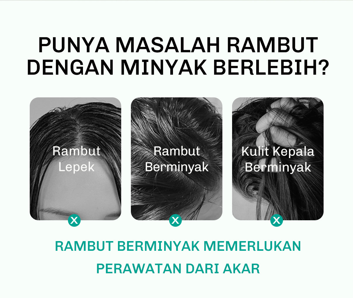 Lavojoy Hair We Bloom Shampoo | Sampo Untuk Mengurangi Rambut Berminyak | Rambut Lepek | Membersihkan Kulit Kepala | Dengan Asam Amino | Rambut Sehat Dan Segar