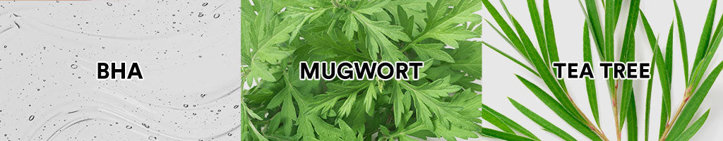 Whitelab Acne Care Facial Wash - Sabun Cuci Muka Untuk Kulit Jerawat Kontrol Minyak Berlebih Anti Bakteri dengan Mugwort, Tea Tree & BHA [BPOM]