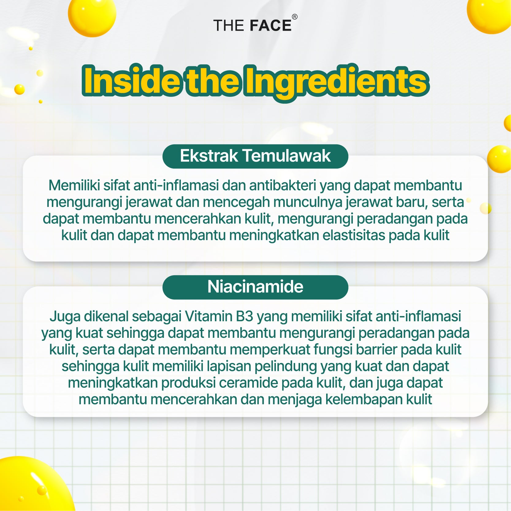 THE FACE Temulawak  Facial Foam 100ml With Ekstrak Temulawak and Niacinamide - Sabun Pembersih Wajah