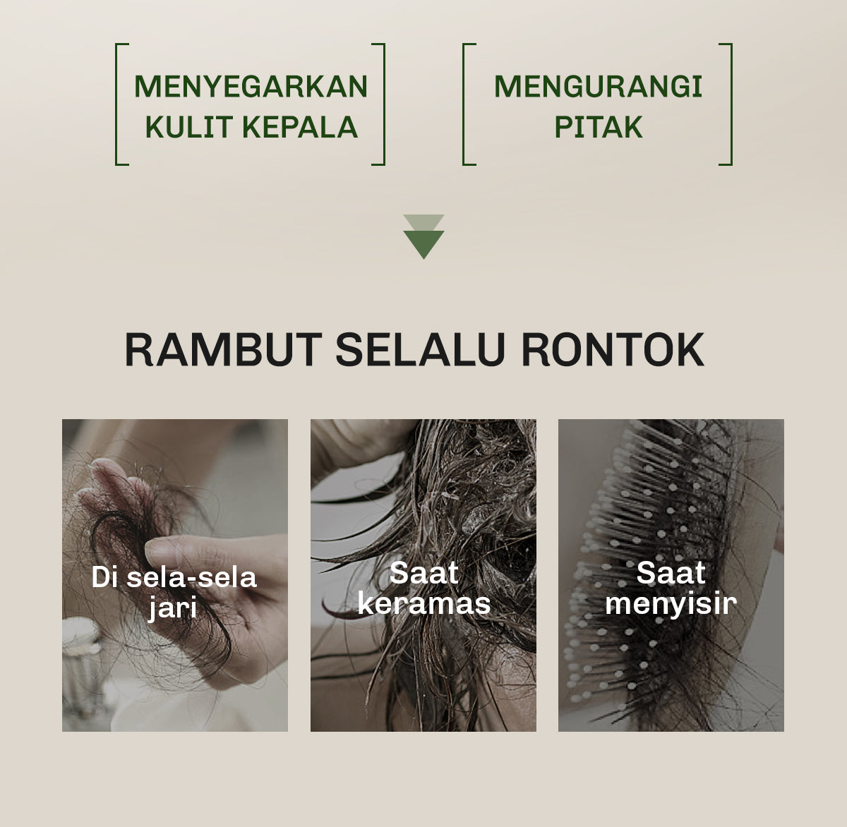 [3IN1 BUNDLE] Lavojoy Hold Me Tight Pro Shampoo + Conditioner + Scalp Essence Spring Wonder | Perawatan Intensif untuk Rambut Rontok | Perawatan Rambut Rontok | Ginseng Ginger Caffeine | Hair Care Growth | Citric Acid