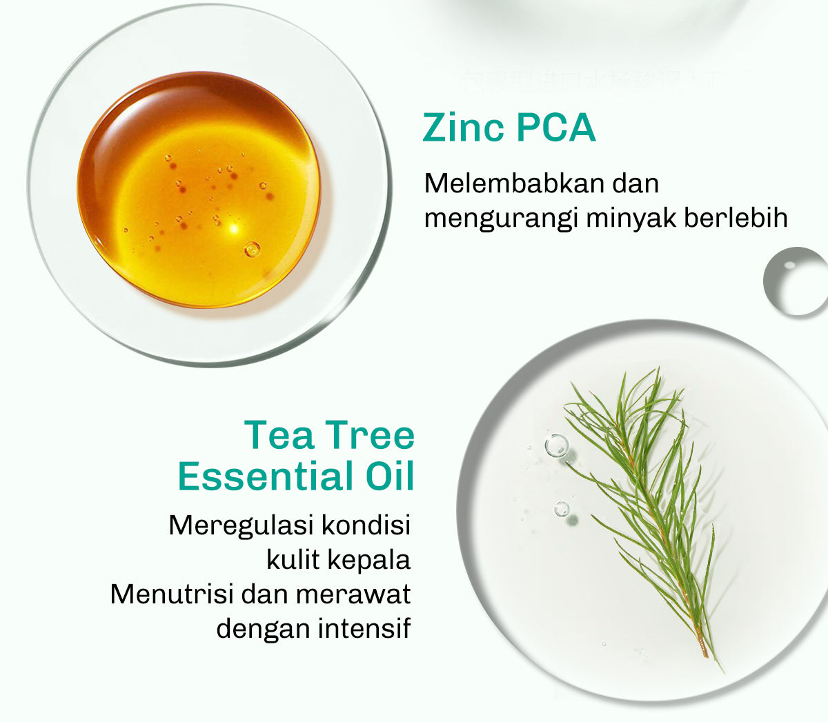 Lavojoy Hair We Bloom Shampoo | Sampo Untuk Mengurangi Rambut Berminyak | Rambut Lepek | Membersihkan Kulit Kepala | Dengan Asam Amino | Rambut Sehat Dan Segar