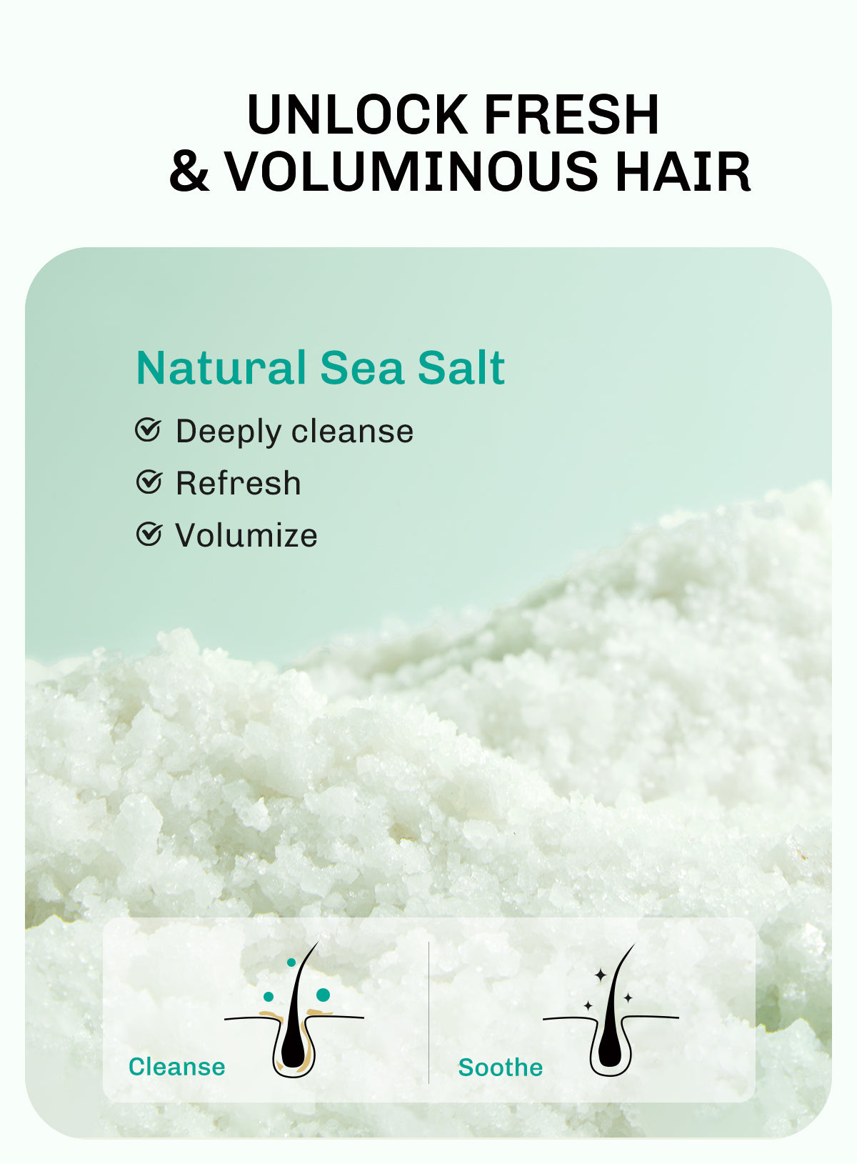 Lavojoy Hair We Bloom Shampoo | Sampo Untuk Mengurangi Rambut Berminyak | Rambut Lepek | Membersihkan Kulit Kepala | Dengan Asam Amino | Rambut Sehat Dan Segar