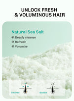 Lavojoy Hair We Bloom Shampoo | Sampo Untuk Mengurangi Rambut Berminyak | Rambut Lepek | Membersihkan Kulit Kepala | Dengan Asam Amino | Rambut Sehat Dan Segar