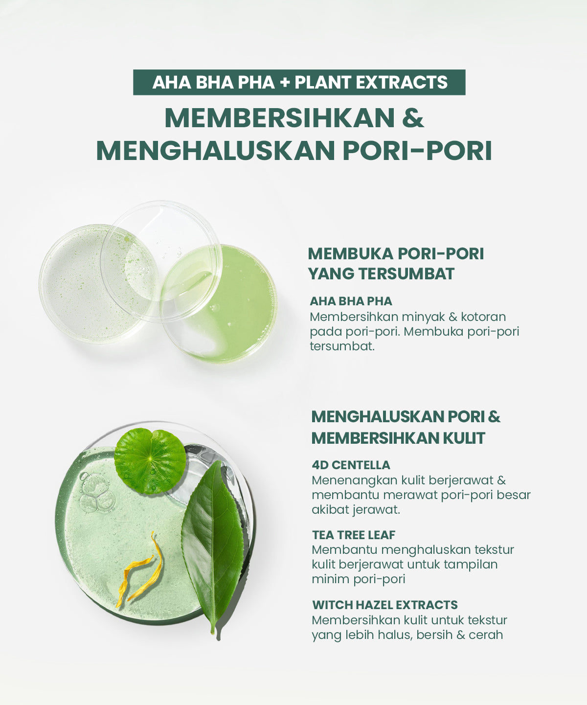 YOU AcnePlus AHA BHA PHA Daily Essence Toner Kulit Berminyak Jerawat Centella dan Oil Control