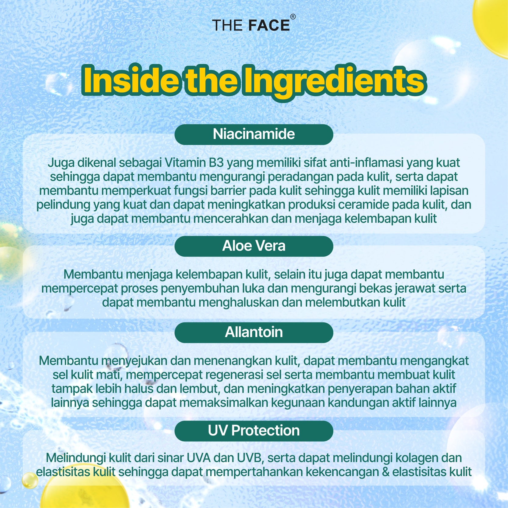 [BPOM] THE FACE Temulawak Acne Package - Paket Perawatan Wajah