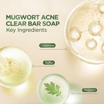 ACNAWAY Mugwort Acne Clear Bar Soap - Sabun Organik Natural Acne Soap untuk Jerawat Badan Tanpa Paraben & Alkohol with Sulfur Calamine Herbal