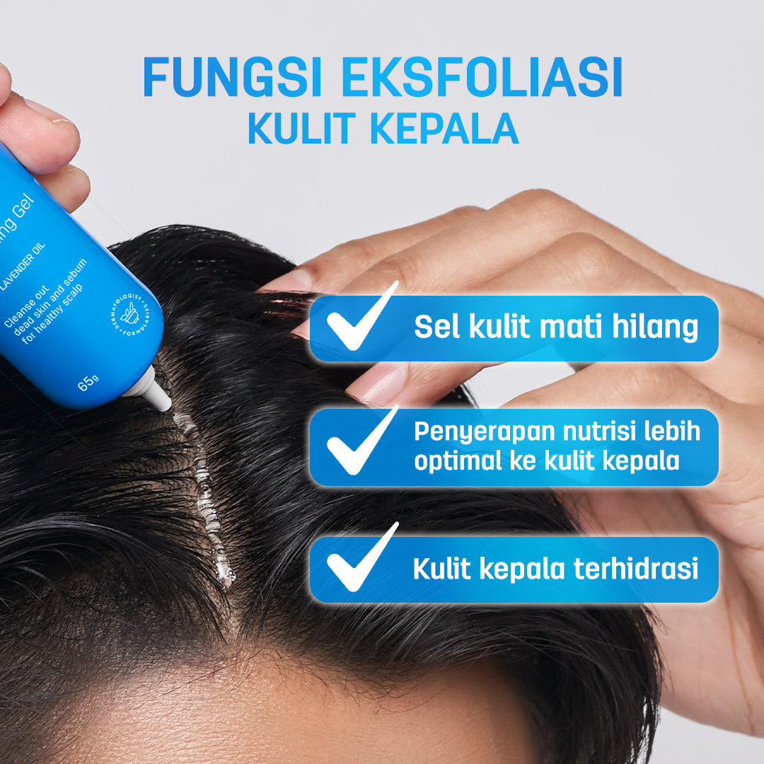 [GEL ANTI KETOMBE] ERHAIR Scalperfect Exfoliating Gel 65gr - Gel Eksfoliasi kulit kepala Anti Ketombe dan Seboroik | 2% Salicylic Acid