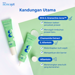 ERHA Bundle Acneact Acne Treatment Series - Paket Perawatan Kulit Wajah Jerawat