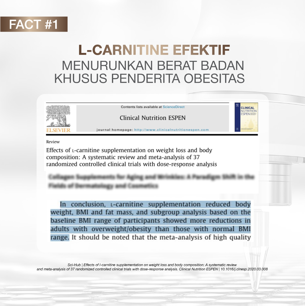 NEWLAB Fitlogy Coffee | Kopi Sehat untuk Kontrol Berat Badan & Gut Health | L-Karnitin & Garcinia Pelangsing Badan  15 Sachet