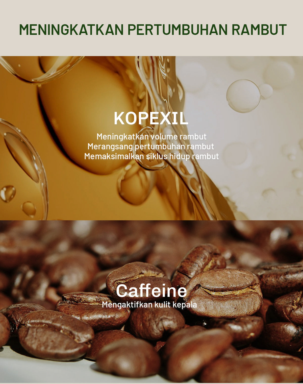 Lavojoy Hold Me Tight Pro Shampoo Spring Wonder | Hair Shampoo | Sampo Rambut | Shampoo Perawatan Rambut Rontok | Mempercepat Pertumbuhan Rambut | Mengurangi Kerontokkan | Sampo Ginseng & Jahe