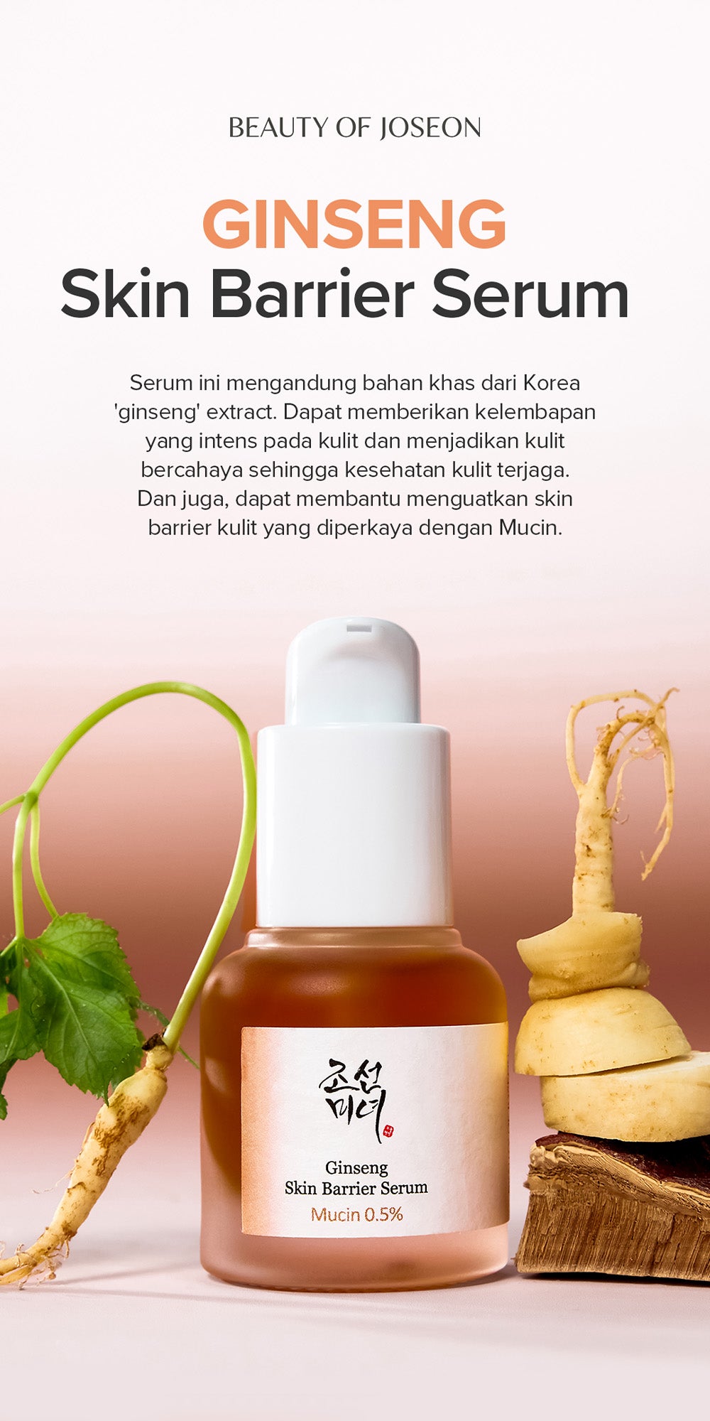 Beauty of Joseon Ginseng Skin Barrier Serum : Ginseng + Mucin