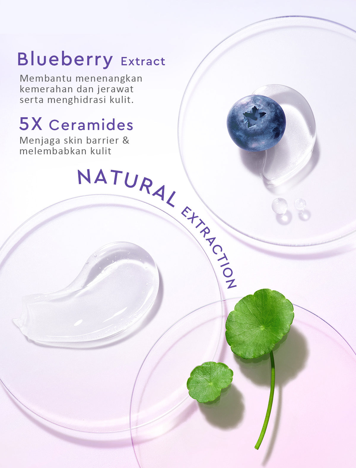 Glad2Glow Blueberry Ceramide Low pH Gel Cleanser facial wash skincare face wash sabun cuci muka cleansing balm exfoliating exfoliasi wajah sabun muka pembersih wajah Memperbaiki penghalang kulit tetap terhidrasi wajah G2G g2glow official store