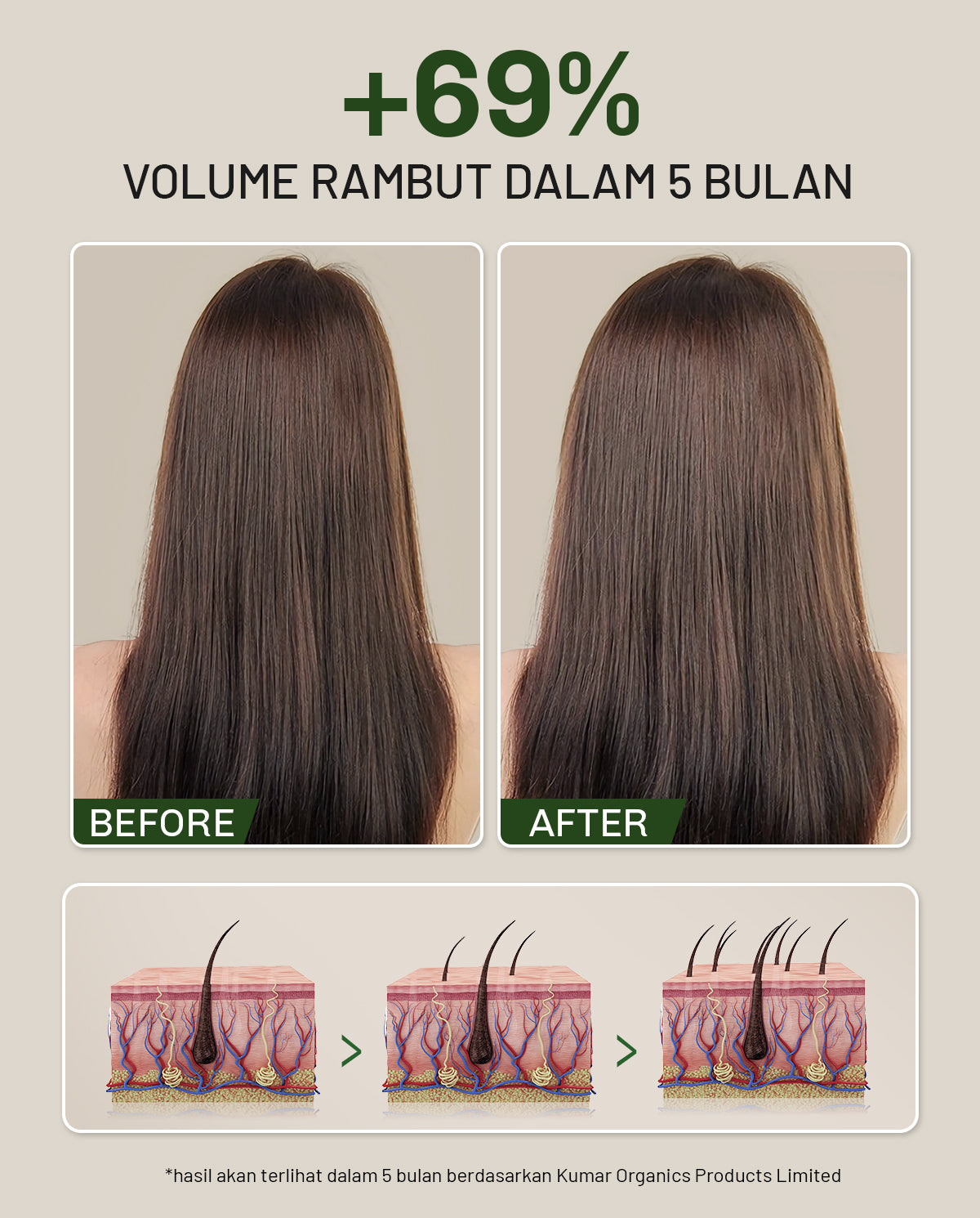 Lavojoy Hold Me Tight Pro Shampoo Spring Wonder | Hair Shampoo | Sampo Rambut | Shampoo Perawatan Rambut Rontok | Mempercepat Pertumbuhan Rambut | Mengurangi Kerontokkan | Sampo Ginseng & Jahe