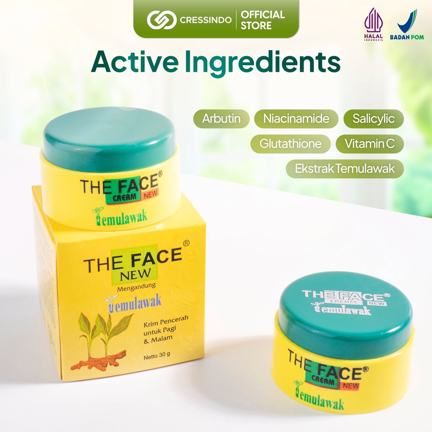 [ IMPROVED FORMULA ] THE FACE Temulawak Day & Night Cream Netto 30gr With 5% Niacinamide